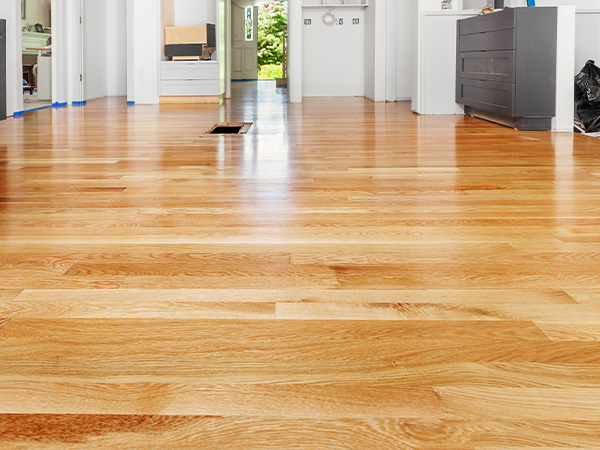 professional hardwood floor cleaning